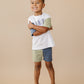 Organic Cotton Colorblock Tee and Shorts Set