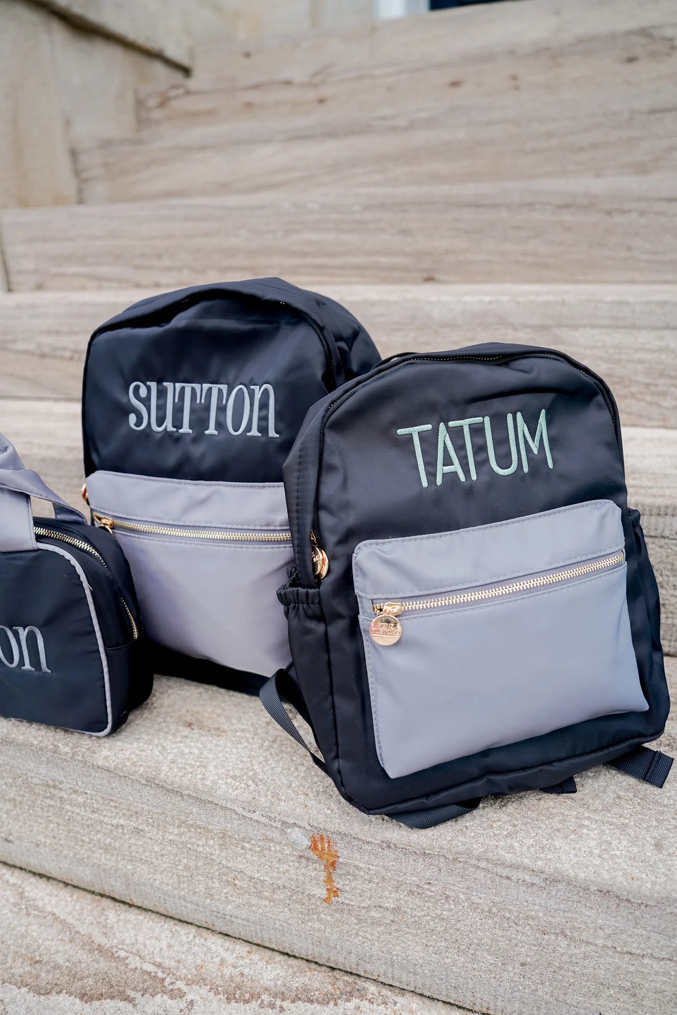Black & Gray Colorblock Backpack - two sizes